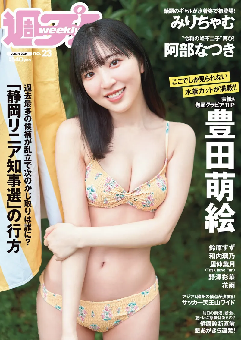[Weekly Playboy] 2024 No.23 豊田萌絵 みりちゃむ 阿部なつき 鈴原すず 和内璃乃 里仲菜月 野澤彩華 花雨 他