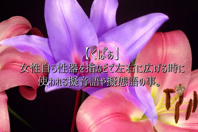 中出しマ〇コ、くぱあ。AIKA Complete edition 画像