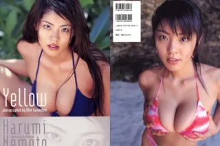 根本はるみ 写真集 Yellow