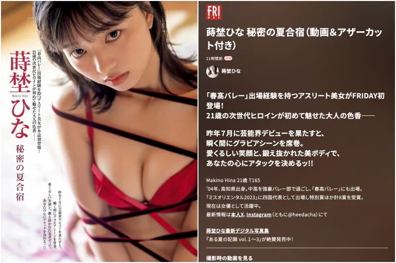 Thumbnail of related posts 135