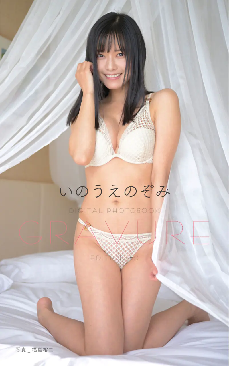 いのうえのぞみ GRAVURE EDITION #0 (Harvest Time)