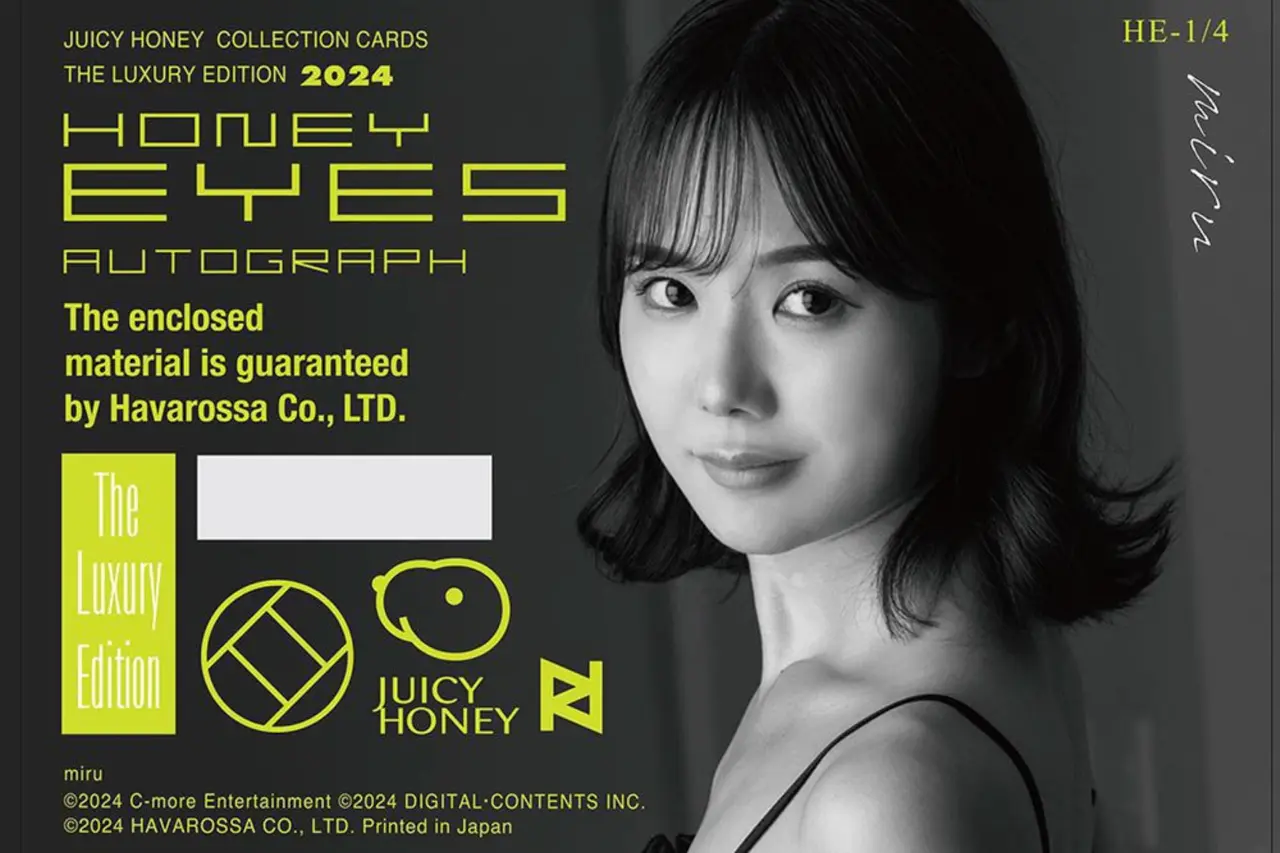 JUICY HONEY THE LUXURY 2024 MIRU LINGERIE (English Edition) cover